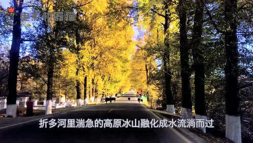 娱乐吃瓜君17集,揭秘娱乐圈背后的惊人真相  第1张