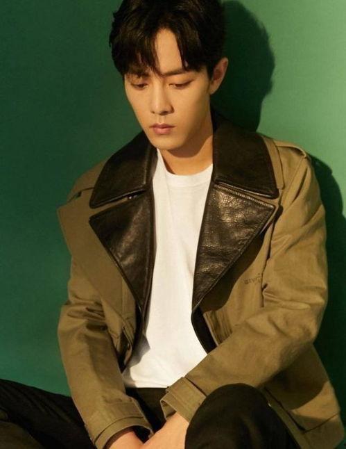 娱乐圈吃瓜爆料肖战是谁,娱乐圈吃瓜爆料中的焦点人物  第2张